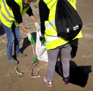 Ramassage des poissons sur la plage