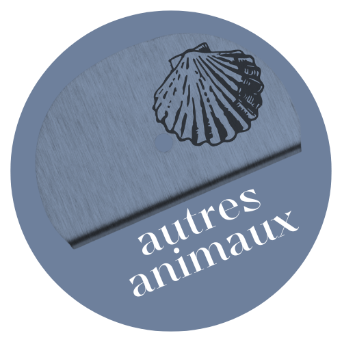 Autres animaux